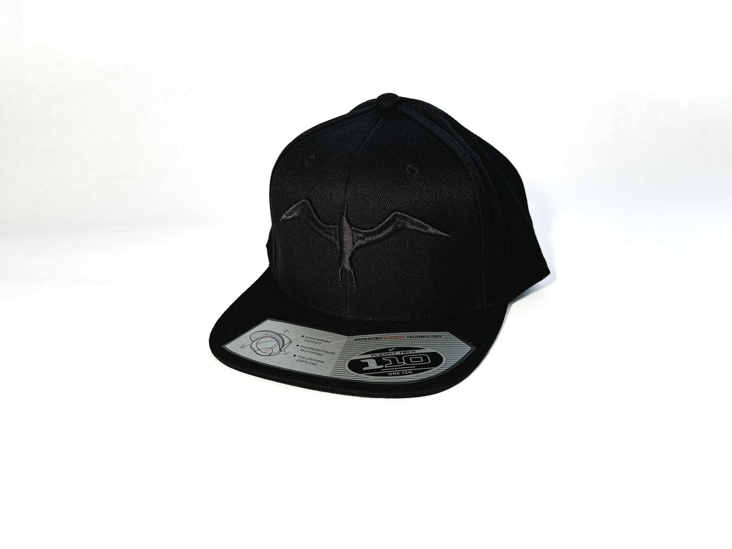 IWA SNAPBACK